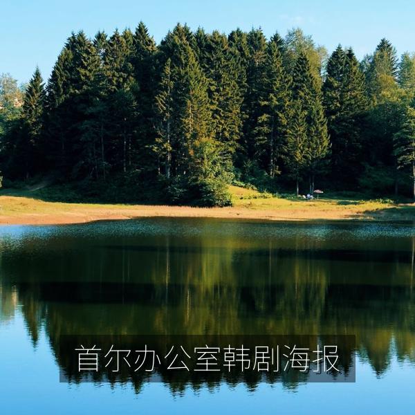 首尔办公室韩剧海报